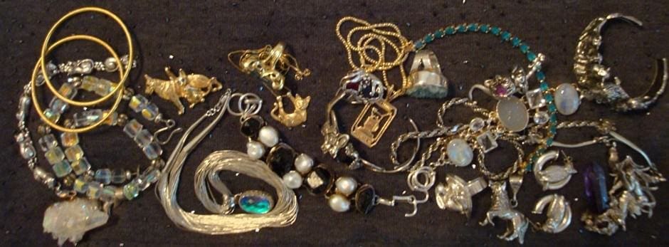 AMY SHOJAI'S Bling, Bitches & Blood